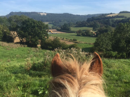 Family Riding North Yorkshire